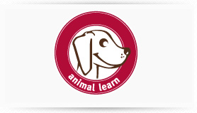 animal learn, Tiertrainerin