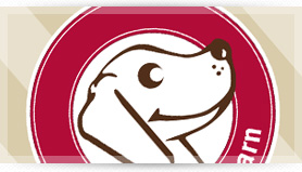 Animal Learn, Visitenkarte & Aufkleber