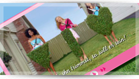 Wilkinson, Mow the lawn